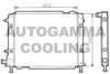 AUTOGAMMA 100273 Radiator, engine cooling